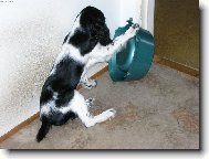 Sakra, kam jste mi schovali to j�dlo?