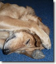 Bert le��c� sp�c�