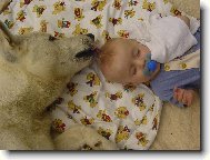 Moc se nevr�, nebo ti toho kohouta nal�u nak�ivo.