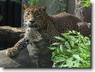 Nekoukej na m� tak!!!