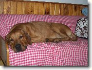 v�ude dob�e, doma nejl�pe!!!