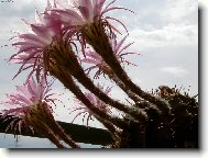 Je�t� jednou z jidn� strany