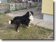 Kde se tak loud�, ve�e�e �ek�.