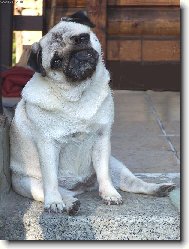 Na�e slun��ko z Liberce