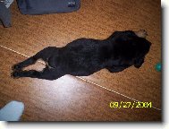 To jsem ale velik� :)