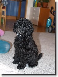 podle mne u� jsem velk� holka co ��k�te??