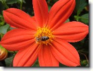 Kr�sn� p��roda