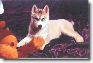 na�e mal� boubelat�