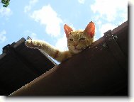 Zdrav� v�s Jon�ek!