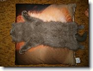 Mouchy,sn�zte si m�!!!!!