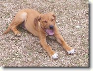 �����hhh,to bylo siln� z�vnut�!!!