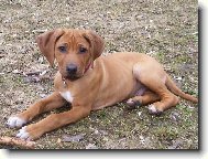 v�echny zdrav� mal� Engu!!!