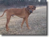 v�stavn� foto...