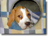 J� u� budu hodn� ......