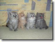 Je�t� jednou sourozenci :-)