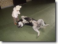 Poslouchat se mus�,i prcky