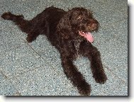 Aron v �ek�rn� na m�stsk�m ��ad�