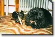 Jsem na n�v�t�v�-beru v�t��