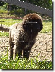 J� jsem malej,ale �ikovnej