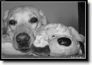 Baruska s ply��kem