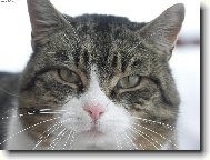 To jsem, ale fe�ak?