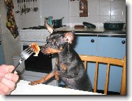 Matylda: Dobro chu�...