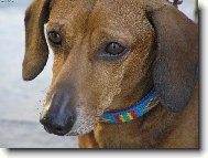 Fakt nejsem smutn�...