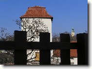 Slezskoostravsk� hrad