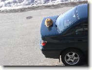 relaxace na slun��ku