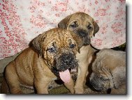 ale my chcemme taky j�st!!!