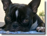 Nikdo si nechce hr�t ...