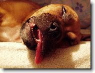 Kdy� sp�m, tak sp�m