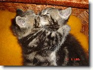 M�m t� moc r�d...