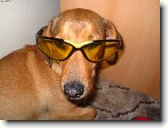 br�le proti slunci