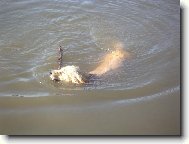 p�ines klac�k,p�ines!