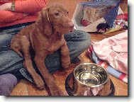 Prvn� minuty u nov� maminky