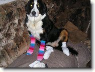 Na�e S�ra nev� co by