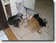 Ach jo,m�m j� to �ivot