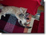 Tak moc se m�me r�di!