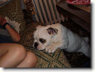 J� chci k v�m...