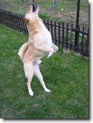 Slun��ko, slun��ko, popojdi mail�ko,...