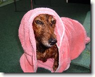 Nelinka v jej�m �up�nku.