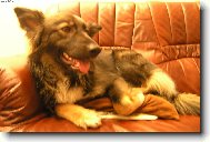 Eli�ka von Chrastavec