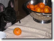 Kdo mn� tu mandarinku oloupe?