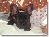 Nejslad�� na sv�t� je sp�nek