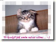 To kouk� jak um�m m�vat u�ima ... :-)
