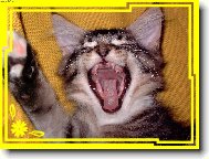 Pod�vej , u� mi rostou zuby !