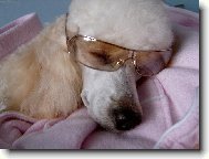 spr�vn� ochrama proti slun��ku