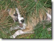 Najde m� nebo nenajde