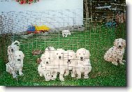 Bret��ek mezi sourozenci